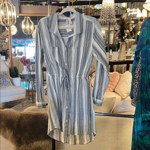 Japna Blue and White Striped Long Sleeve Dress